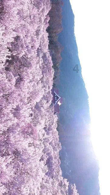 哈哈体育官方入口